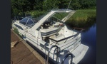 Bayliner 2655 Cierra Sunbridge-kuva-11